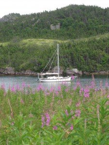 Ireland's Eye, Newfoundland