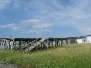 Bonavista Cod Drying Racks