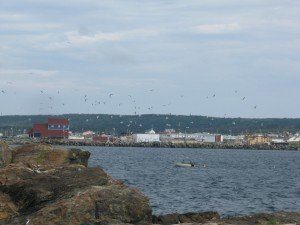 Bonavista, Newfoundland