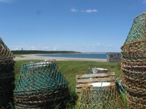 Lumsden crab traps