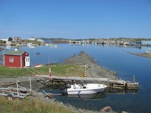 Twillingate Harbor